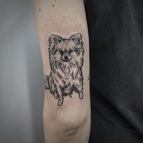 Pomchi Dog Tattoo, German Spitz Tattoo, Best Friends Ideas, Tattoo Ideas Dog, Trendy Tattoo Ideas, Simple Tats, Tattoo Salon, Friends Ideas, Dog Best Friend