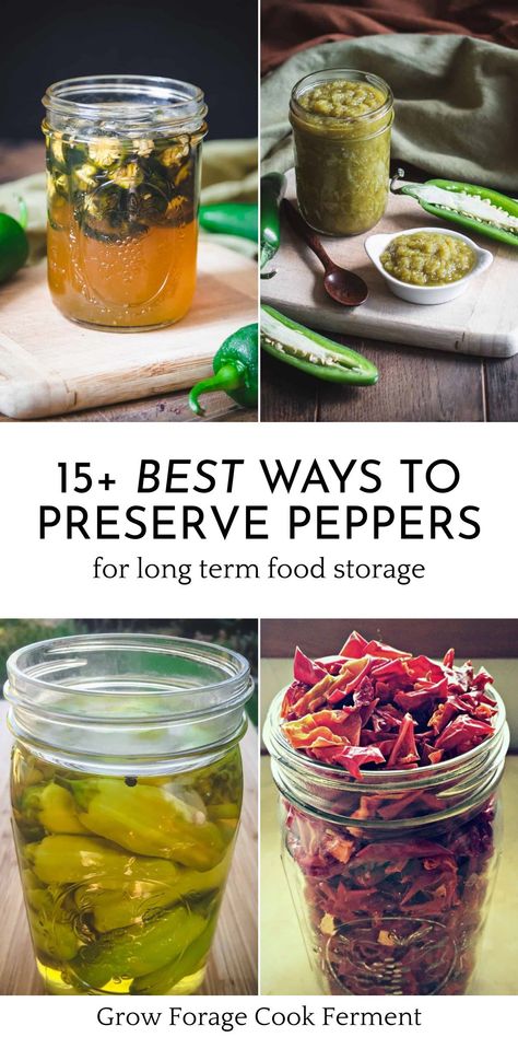 What To Do With Green Peppers, Preserve Bell Peppers, Dehydrating Peppers, Store Peppers, Preserve Peppers, Canning Bell Peppers, Preserving Peppers, Canning Hot Peppers, Pickled Pepper Recipe