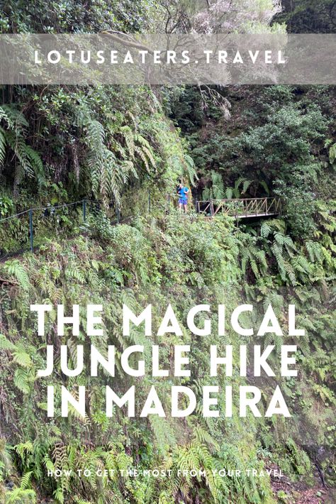 10 Best Hikes in Madeira: Beauty Beyond The Pico to Pico | LOTUS EATERS TRAVEL Madeira Hiking, Azores Sao Miguel, Jungle Hike, Lotus Eaters, Types Of Hiking, Portugal Vacation, Visit Portugal, Honey Moon, Travel Wishlist