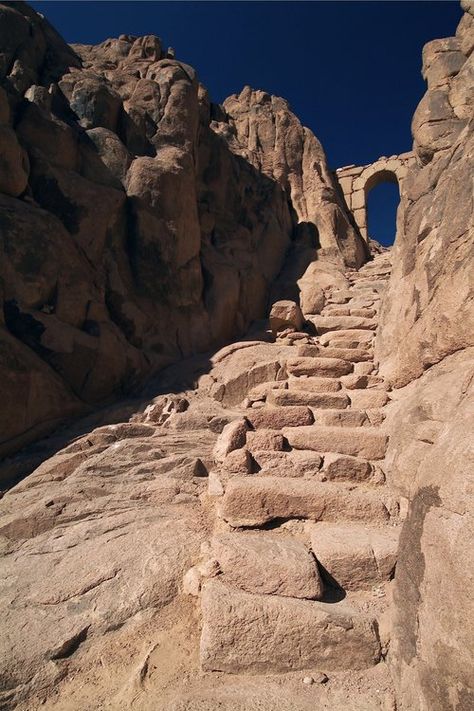 Ascent to Holy Mount Sinai Mount Sinai Egypt, Saint Catherine's Monastery, Monastery Icons, Sinai Egypt, The Burning Bush, The Holy Mountain, Saint Catherine, The Transfiguration, Mount Sinai