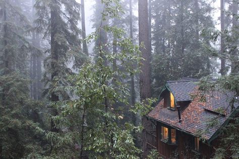 𝔙𝔞𝔪�𝔭𝔦𝔯𝔞 on Twitter: "Little house on a hill in the rainy, foggy pacific northwest winter.… " A Cabin, A Hill, House On A Hill, Little House, In The Woods, Pacific Northwest, Cabin