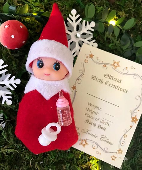 In Time for Christmas, Elf on the Shelf Can Now Have Little Elf Babies Elf Is Back Ideas, Welcome Back Elf, Easy Thanksgiving Table Decor, Elf Baby, Elf Boy, Elf Arrival, Baby Elf, Awesome Elf On The Shelf Ideas, Elf Activities