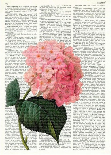 Cottagecore Posters, Pink Cottagecore, Newspaper Art, Pink Nature, Flower Collage, Dictionary Page, Flower Art Drawing, Vintage Dictionary, Vintage Collage