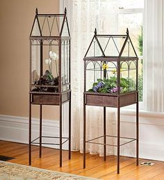 terrarium on Pinterest Victorian Terrariums, Wardian Case, Large Terrarium, Miniature Terrarium, Terrarium Ideas, Beautiful Terrariums, Indoor Greenhouse, Home Greenhouse, Garden Terrarium