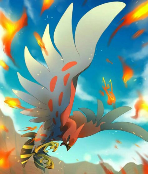 Talonflame Flying Type Pokemon, Bird Pokemon, Pokemon Kalos, Pokemon W, Pokemon Backgrounds, Mega Pokemon, Cool Pokemon Wallpapers, Pikachu Wallpaper, Ash Pokemon