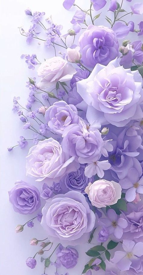 Soft Violet Aesthetic, Iphone Wallpaper Girly Lockscreen Purple, Purple Floral Wallpaper Iphone, Purple And White, Purple Aesthetics, Aesthetic Color, Purple Hydrangea, Purple And Pink Aesthetic, Lavender Wallpaper