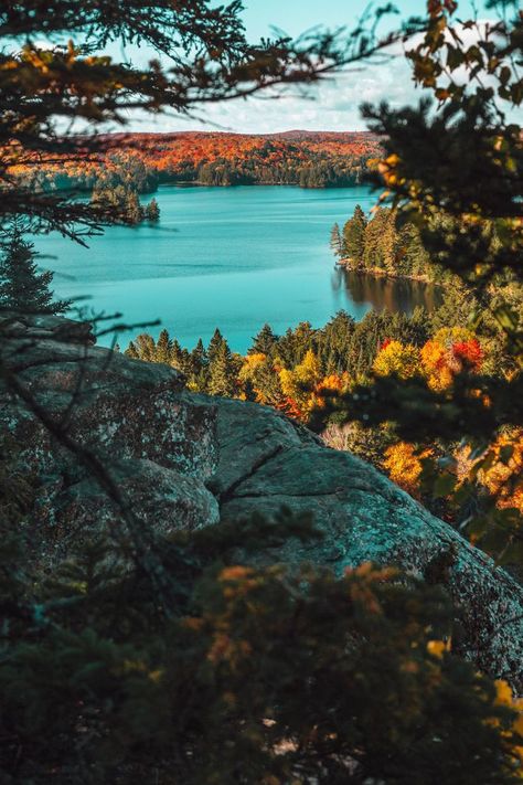 Aleksandar Mitrovic on Twitter: "Canada 💚 https://t.co/Wz2jz3rElD" / Twitter Algonquin Provincial Park Fall, Canada Moodboard, Canada Culture, Canada Scenery, Canadian Scenery, Canada Autumn, Canada Fall, Canada Landscape, Algonquin Park