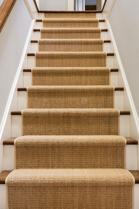 Uncarpeted Stairs, Wooden Staircase Runner, Oak And White Staircase With Runner, Wooden Stairs With Carpet Runner, Wooden Staircase With Carpet, Cottage Carpet Ideas, Wooden Stairs With Runner, Stair Runner On Light Wood, Wood Stair To Carpet Transition