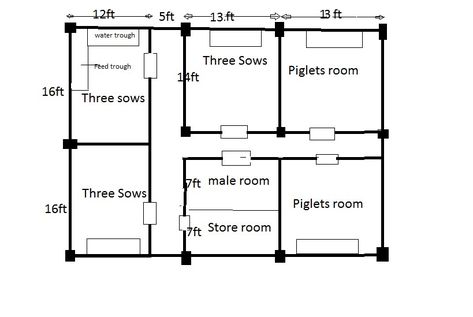 Pig Farming Ideas, Farm Layout Design, Furniture Picture, Farming Ideas, Pig Pen, Pig Design, Pig Farm, Pig House, Photo Presentation