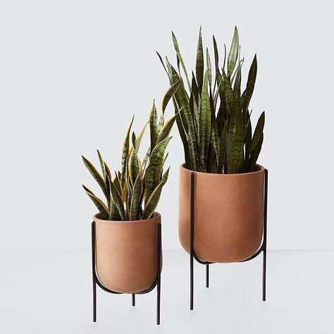 Are you following @designmilkeveryday yet? Over on this sister IG, we’re out to find awesome, affordable #moderndesign, like these new… Casa Cook, نباتات منزلية, The Citizenry, Clay Planters, Home Decor Brands, Modern Planters, Bedroom Boho, Decor Guide, Minimalist Decor