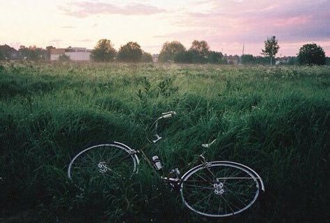 Biking Terrence Loves You, Adam Parrish, Blue Sargent, The Wombats, All The Bright Places, Inuyasha, Pics Art, Film Photography, In The Middle