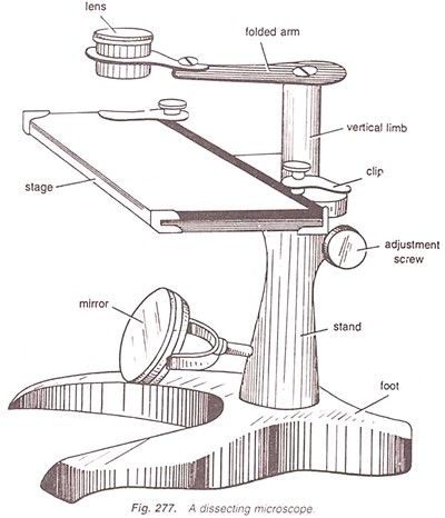 Microscope Microscope Diagram, Simple Microscope, Dissecting Microscope, Biology Lab, Fast And Furious Actors, Joker Iphone Wallpaper, Beach Background Images, Class 9, Teaching Biology