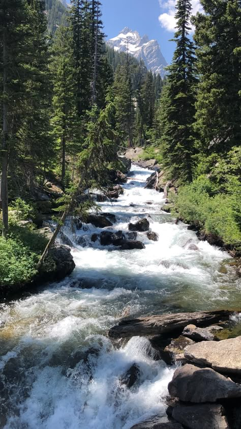 Creek In The Forest, American Landscape Photography, Beautiful Scenery Nature Peace, Quite Photos, River Background, Alaska Summer, Vacation Attire, Nature Photography Landscape, Nature River