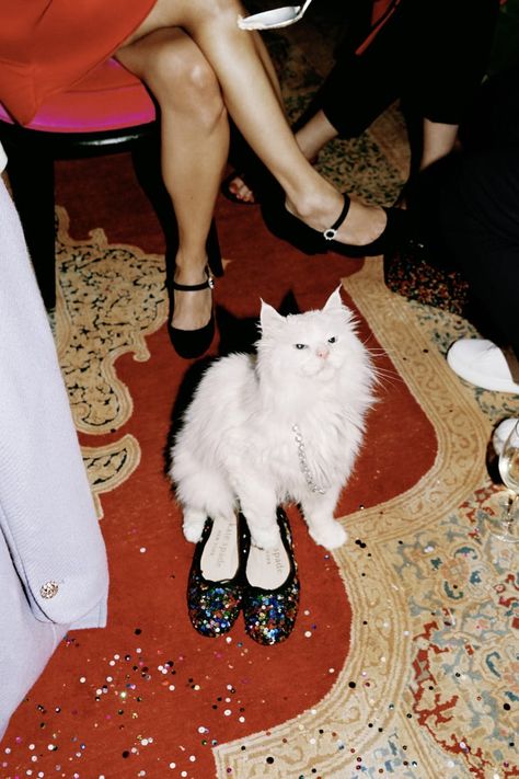 Shotting Photo, Photographie Portrait Inspiration, Monica Bellucci, Photography Inspo, White Cat, Holiday Collection, Sabrina Carpenter, Kate Spade New York, Harry Styles