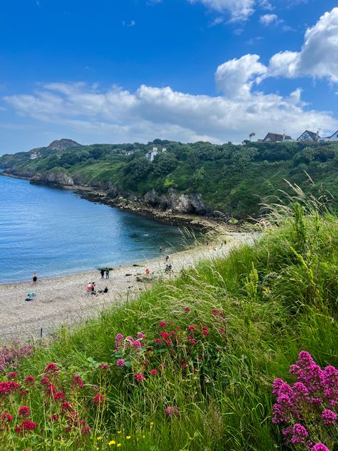 Purple flowers overlooking atlantic ocean mountain view travel inspiration Ireland coast vacation West Coast Ireland, Ireland Core, Ireland Coast, Summer In Ireland, Ireland Summer, Ocean Mountain, Ireland Aesthetic, Ocean Views Beach, Ireland Beach