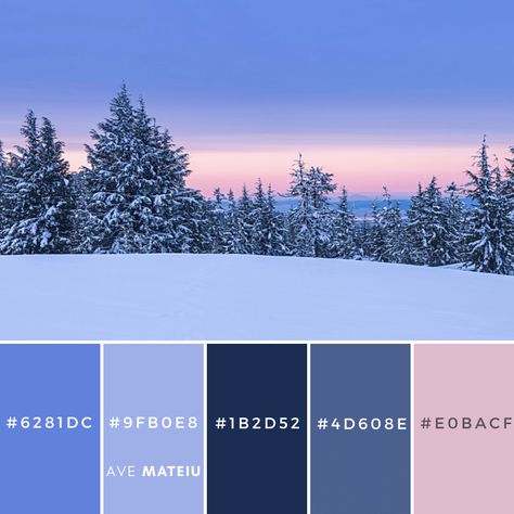 Winter Landscape Color Palette 410 with hex codes - color palette, color palettes, colour palettes, color scheme, color inspiration, color combination, art tutorial, collage, digital art, canvas painting, wall art, home painting, photography, weddings by color, inspiration, vintage, wallpaper, background, rustic, seasonal, season, natural, nature Velaris Color Palette, Winter Pallette, Canva Color Palette Codes Winter, Winter Forest Color Palette, Winter Wonderland Palette, Snowy Color Palette, Winter Poster, January Colors, Christmas Color Palette