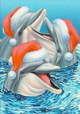 Dolphins with Santa hats Dolphin Images, Dolphin Photos, Christmas Yard Art, Merry Christmas To All, Coastal Christmas, Holiday Pictures, Christmas Characters, Take Charge, Christmas Illustration