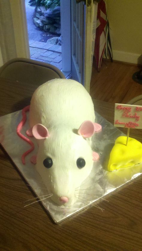 Rat Cakes Aesthetic, Rat Themed Birthday Party, Rat Cakes Funny, Rat Themed Party, Rat Birthday Party, Rat Themed Birthday, Rat Cakes Birthday, Rat Cakes, Frog Bread