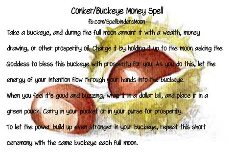 Buckeye (Conker) Money Spell Buckeye Magical Properties, Buckeye Witchcraft, Conkers Witchcraft, Acorn Magical Properties, Spiritual Meaning Of Acorns, Cocoa Magical Properties, Chestnut Magical Properties, Spells With Cat Whiskers, Horse Chestnut Magical Properties