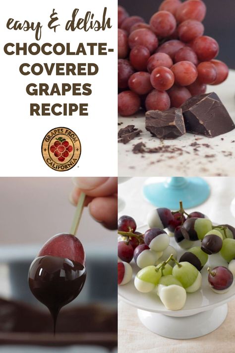 Easy and delish chocolate-covered grapes, with milk chocolate or white chocolate, are the perfect summer treat for parties.  A delicious dipped fruit idea that can be a dessert or snack, grapes from California pair well with chocolate in this recipe.  #chocolate #whitechocolate #fruit #chocolatedipped #chocolatedippedfruit #dippedgrapes #chocolatecovered #ideas #dessert #snack #delicious #summer #summertreat #party #forparty #recipe #easy #delish #easychocolate #perfect Chocolate Dipped Grapes, Chocolate Covered Grapes Recipes, Chocolate Covered Fruit Platter, Dipped Grapes, Chocolate Covered Grapes, Dipped Fruit, Vegan Gluten Free Snacks, Chocolate Dipped Fruit, Berry Recipes