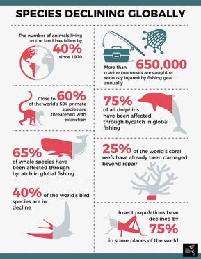 Climate Crisis Art, Green Marketing, Mass Extinction, Environmental Movement, Animal Conservation, Save Our Earth, Save Our Planet, Environmental Concerns, Environmental Education