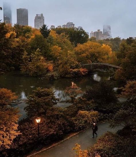 Fall Apple Orchard Aesthetic, Fall Aesthetic Pictures, October Vibes, Pax Romana, Studera Motivation, Fall Mood Board, Gilmore Girl, Autumn In New York, Aesthetic Autumn