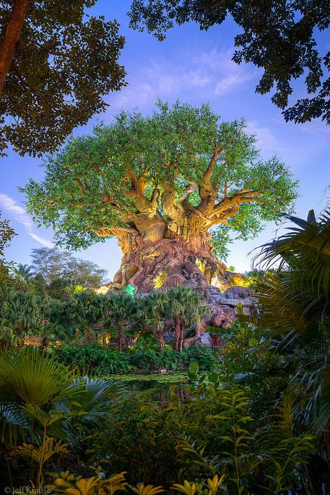 Tree Of Life  #disney #disneysecrets Animal Kingdom Photography, Animal Kingdom Tattoo, Disney Tree Of Life, Animal Kingdom Aesthetic, Animal Kingdom Wallpaper, Tree Of Life Disney, Animal Kingdom Tree Of Life, Disney Tree, Tree Portrait