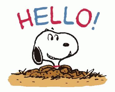 Snoopy Hello GIF - Snoopy Hello - Discover & Share GIFs Gif Hello, Gifs Snoopy, Snoopy Videos, Snoopy Gif, Hello Quotes, Hello Gif, Snoopy Funny, Peanuts Cartoon, Slaap Lekker