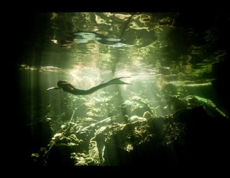 Wish I knew where this was . . . Real Life Mermaids, No Ordinary Girl, Siren Mermaid, Water Nymphs, Mermaid Aesthetic, Mermaid Dreams, Mermaids And Mermen, In The Deep, Sea Monsters