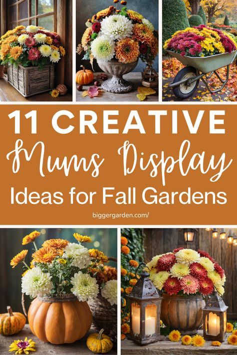 11 Creative Fall Arrangement Ideas to Showcase Mums in Your Garden. Learn how to use autumn planters, fall urns, and fall flower pots to beautifully present your fall mums and chrysanthemums. Explore ideas for fall pots, fall container gardens, and fall chrysanthemum planters to elevate your container gardening flowers. Fall Mum Planter Ideas, Fall Urns, Autumn Planters, Mum Planters, Fall Urn, Fall Flower Pots, Fall Pots, Potted Mums, Planting Mums