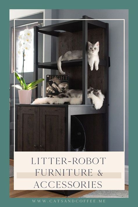 The Litter-Robot 4: A Revolution in Cat Litter Boxes - Cat Care Review & Discount Cat Litter Box Ideas, Litter Box Ideas, Hiding Cat Litter Box, Diy Litter Box, Cat Litter Boxes, Cat Feeding Station, Automatic Litter Box, Litter Robot, Litter Box Covers