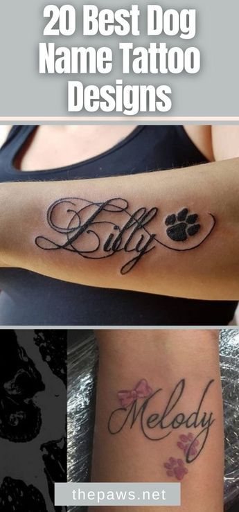 Dog Memorial Tattoos Small Name, Bailey Tattoo Name, Tattoo Ideas Pet Memorials, Tattoo Ideas For My Dog, Dog Names Tattoo, Dog Memorial Tattoos With Name, Dogs Name Tattoo, Pet Name Tattoo Ideas, Dog Name Tattoos