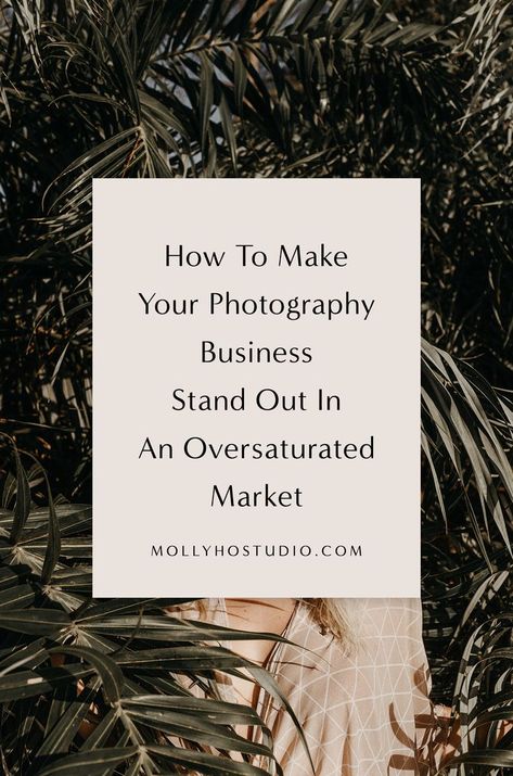 How To Make Your Photography Business Stand Out In An Oversaturated Market https://mollyhostudio.com/blog/how-to-make-your-photography-business-stand-out-in-an-oversaturated-market?format=amp Photographers Studio, Photography Business Marketing, Studio Build, Building A Personal Brand, Nikon D5200, Nikon D3200, Nikon D7000, Photography Help, Photography Marketing