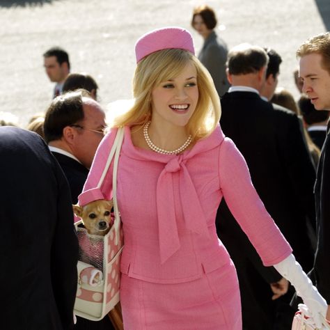 Fandom on Twitter: "‘Legally Blonde 3’ finds Elle Woods at 40 Mindy Kaling promises the return of some fan favorites and is optimistic about filming in 2021 ‘if Reese [Witherspoon] likes the script’ (via @accessonline)… https://t.co/uO1PZuOS2O" Legally Blonde Outfits, Legally Blonde 3, Legally Blonde Movie, Legally Blonde 2, Woods Outfit, Blonde Movie, Hollywood Costume, Blonde With Pink, Elle Woods