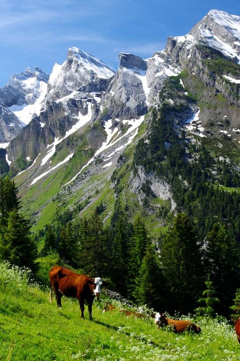 Haute-Savoie, French Alps - France Painting Themes, Pretty Scenery, Fake Insta, French Alps, French Countryside, France Travel, Places Around The World, Bavaria, Land Scape