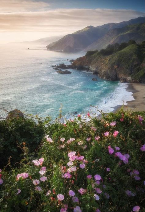 Poison Oak, California Wall Art, Outdoor Photographer, Big Sur California, Ocean Landscape, Pretty Landscapes, Laundry Hacks, Ocean Painting, Beach Landscape