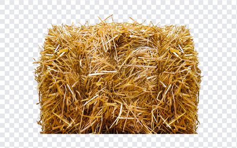 Straw Bale PNG Image Rock, Straw Bale, Straw Bales, Graphic Elements, Graphic Design Projects, Free Vectors, Graphic Designers, Png Download, Free Png