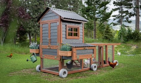 Movable Chicken Coop, Chicken Coop On Wheels, Small Chicken Coop, Backyard Homestead, Diy Chicken Coop Plans, Chicken Tractor, Coop Plans, Chicken Coop Plans, Diy Chicken Coop