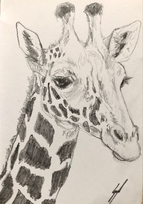 #giraffe #sketch #graphite #originalart #artist #sketchbook Giraffe Drawing Realistic, Giraffe Sketches, Drawing Of Giraffe, Giraffe Drawings, Drawing Giraffe, Giraffe Sketch, Cute Giraffe Drawing, Sketch Animals, Zebra Drawing