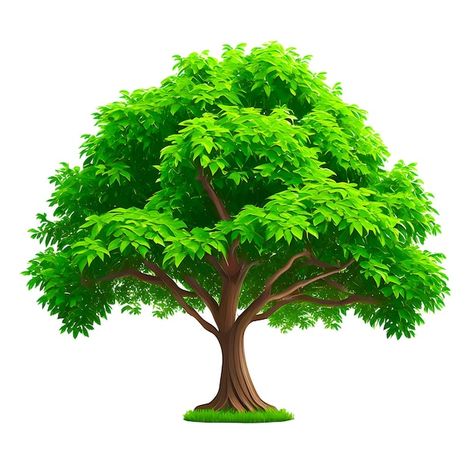 Tree Green Screen, Village Background Indian, Tree Printable Free Templates, Tree Illustration Design, Tree Printable Free, Drawing With Color, Tree Cutout, Types Of Trees, Drukarka 3d