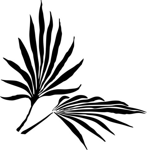 Free Tropical Palm Leaves silhouette download. Transparent background. Wall Sketch, Palm Tree Illustration, Profile Art, Leaf Silhouette, Silhouette Clip Art, Leaf Images, Soyut Sanat Tabloları, Leaves Vector, Palm Fronds