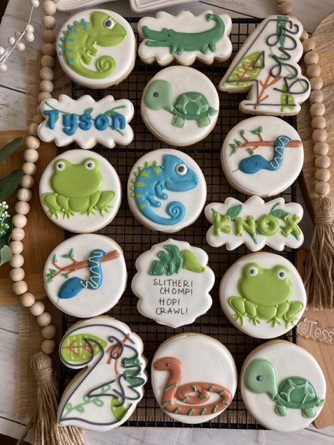 Reptile Birthday Cookies, Lizard Cookies, Reptile Cookies, Reptile Birthday Party, Truck Cookies, Decorated Desserts, Birthday Party Cookies, Monster Truck Cookies, Frog Cookies