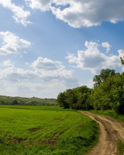 #nature #landscape #summer #green Green Pastures, Green Pasture, Summer Green, Nature Landscape, Blue Green, Green, Blue, Nature