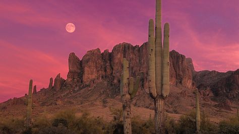 Superstition Mountains Arizona, Arizona Aesthetic, Desert Background, Desert Aesthetic, Arizona Cactus, Arizona Sunset, Superstition Mountains, Pink Desert, Welcome To Night Vale