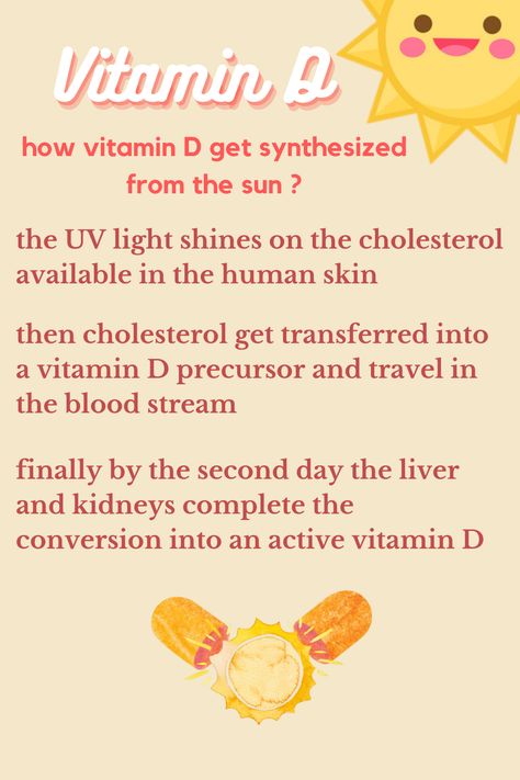 How vitamin D get synthesized from the sun? check out my page to know the other sources of vitamin D #Vitamin #sun #vitaminD #health #biology #facts #science Sources Of Vitamin D, Facts Science, D Vitamin, Biology Facts, Vitamin D, Uv Light, Biology, Vitamins, The Sun