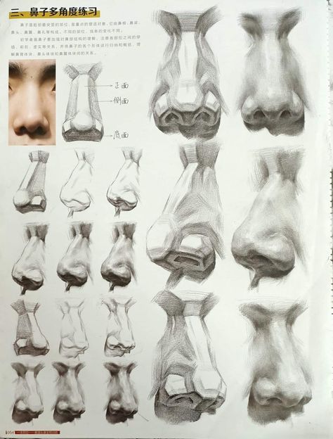 Constructive Drawing, Tonal Shading, Drawing Beginners, Pencil For Drawing, Pencils For Drawing, Best Mechanical Pencil, Nose Drawing, Human Anatomy Drawing, Drawing Heads