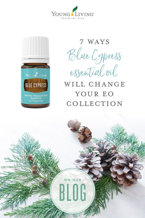 Blue Cypress Diffuser Blend, Blue Cypress, Tangerine Essential Oil, Cypress Essential Oil, Essential Oils For Headaches, Young Living Essential Oils Recipes, Yl Oils, Yl Essential Oils, Essential Oil Blends Recipes