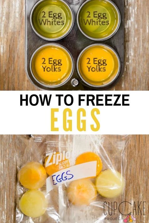 You can freeze egg whites, egg yolks, or even whole eggs!Freezing helps save those stray egg whites or yolks left over from meringues, custards, curds, or even making cupcakes. It’s also a great way to make sure that you are prepared if you’re snowed in, sick, quarantined, or otherwise unable to leave your house. #FreezingEggs #BakingTips Freezing Egg Whites, How To Freeze Eggs, Freezer Eggs, Can You Freeze Eggs, Freeze Eggs, Egg Yolk Recipes, Egg Yoke, Making Cupcakes, Egg Cupcakes