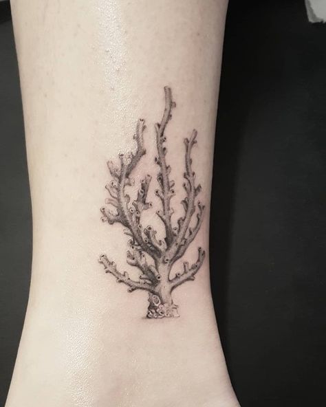 Sea Tattoo Sleeve, Coral Tattoo, Sarah Tattoo, Sea Life Tattoos, Starfish Tattoo, Carnation Tattoo, Seashell Tattoos, Mother Nature Tattoos, Sea Tattoo