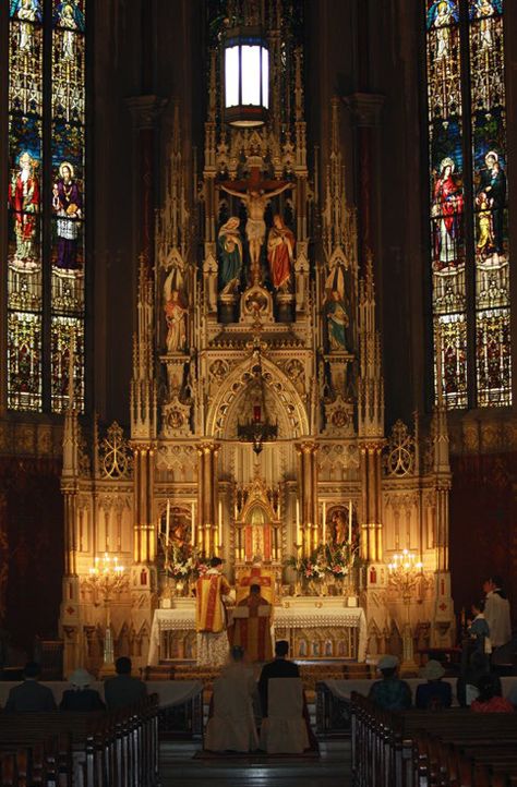 Catholicism Aesthetic, Forever And Ever Amen, Traditional Catholicism, Catholic Altar, Church Aesthetic, Catholic Pictures, Stained Glass Church, Latin Mass, Cathedral Architecture